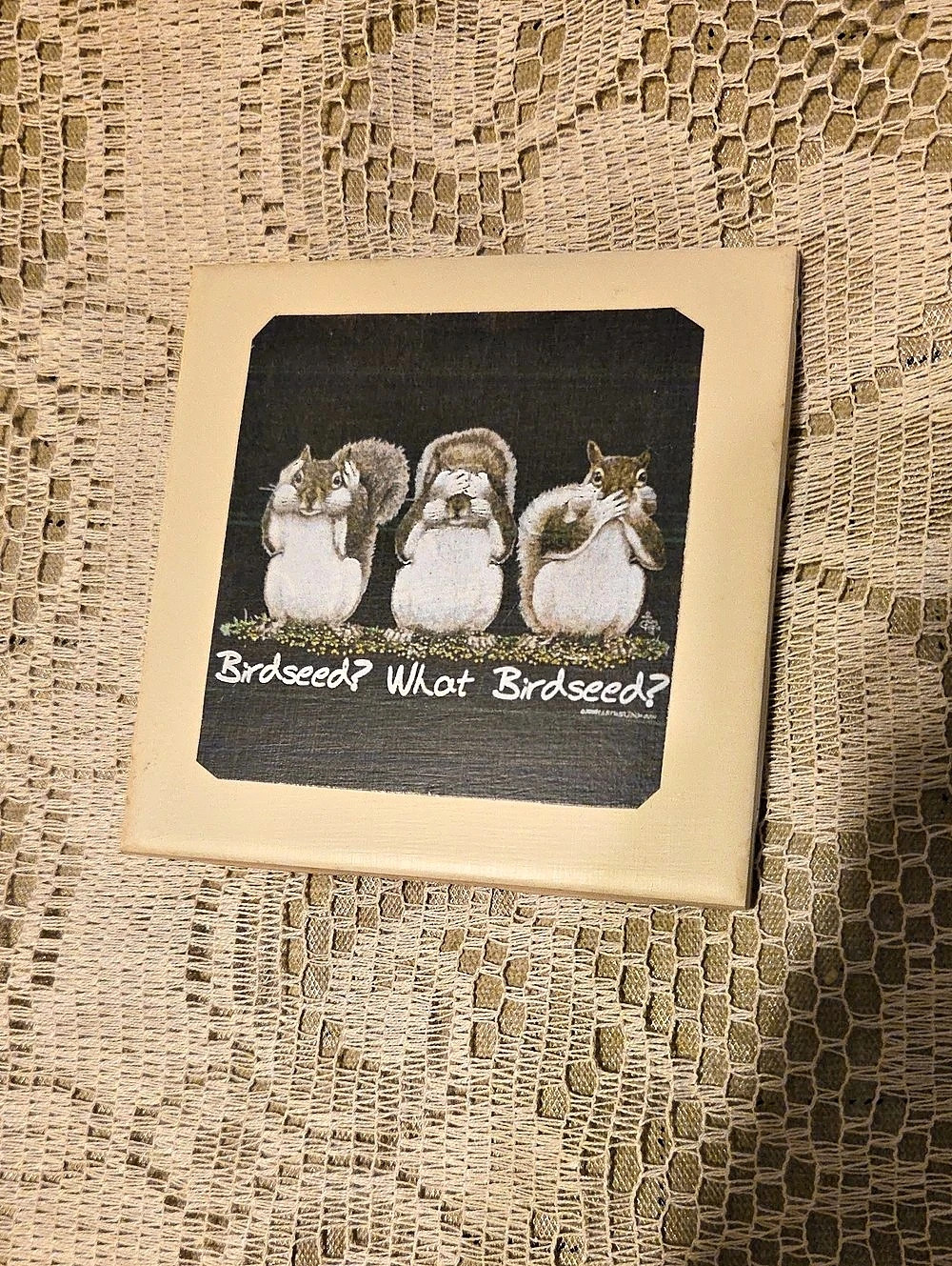 Birdseed What Birdseed? Coaster